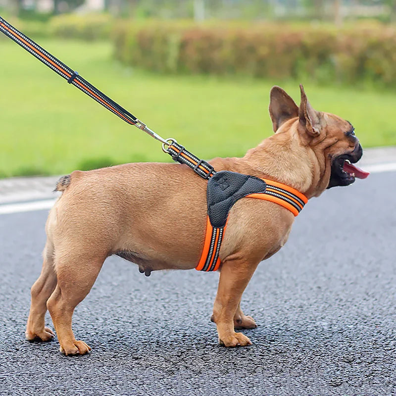 Dog Breathable Nylon Mesh Harness