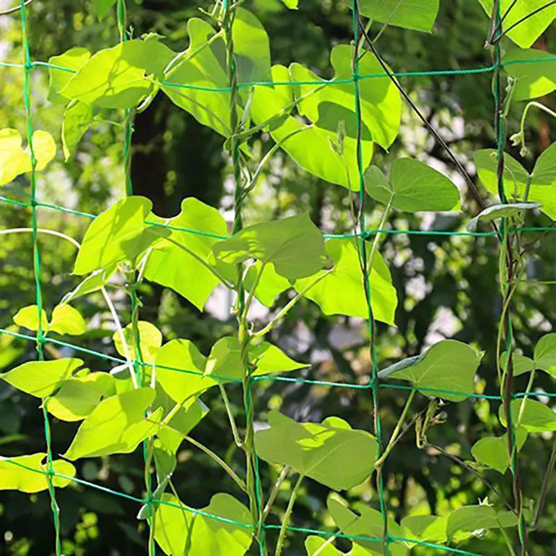 Garden Cell Plant Climbing Net