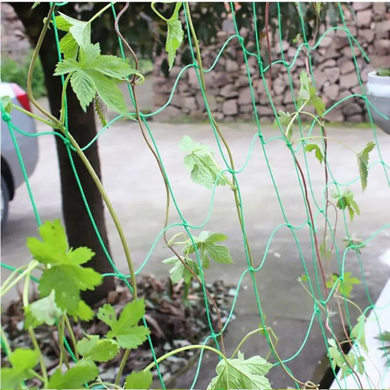 Garden Cell Plant Climbing Net