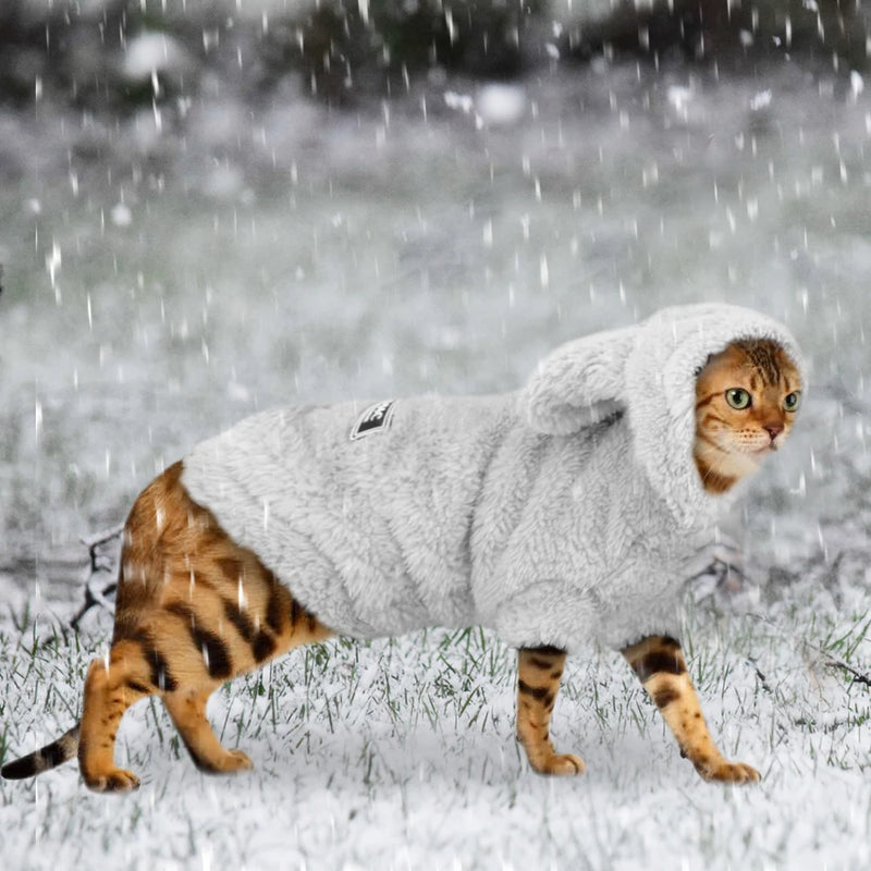 Cat Winter Warm Fashion Clothes