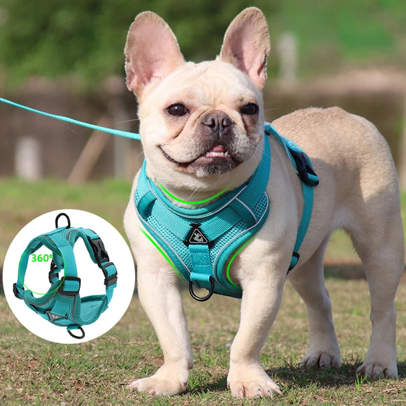 Dog Adjustable Harness Leash Set