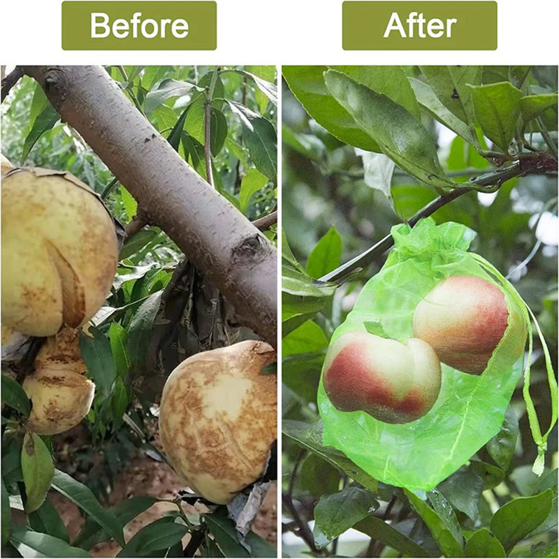 Grapes Fruit Anti-Bird Netting Bag