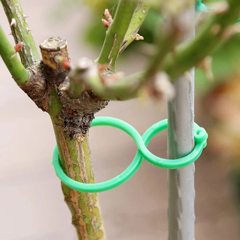 Garden Vine Strapping Plant Clips