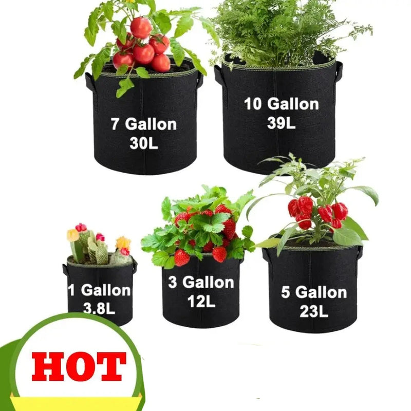 Vegetable Strawberry Growing Planter