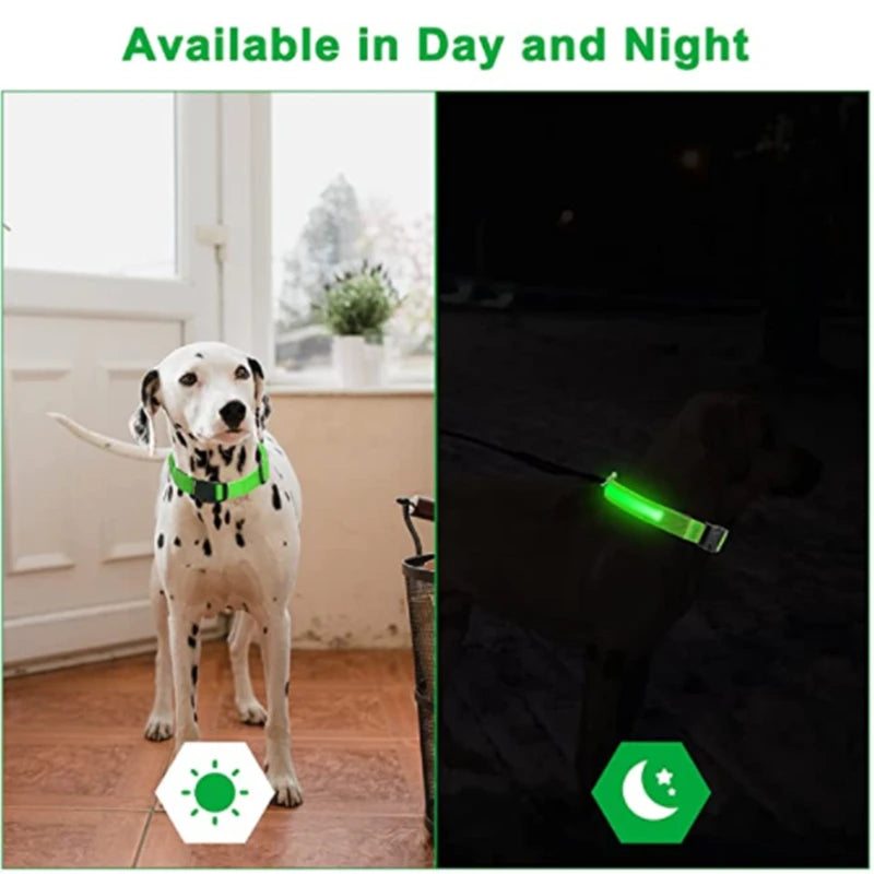 Dog Anti-Lost LED Light Collar