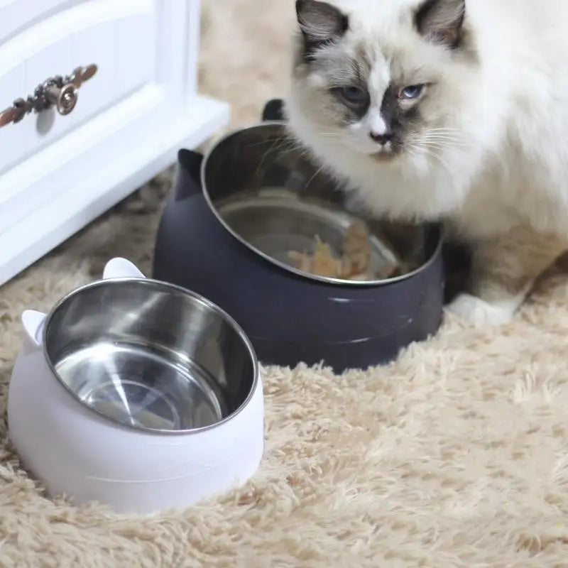 Cat Water Drinking Bowl