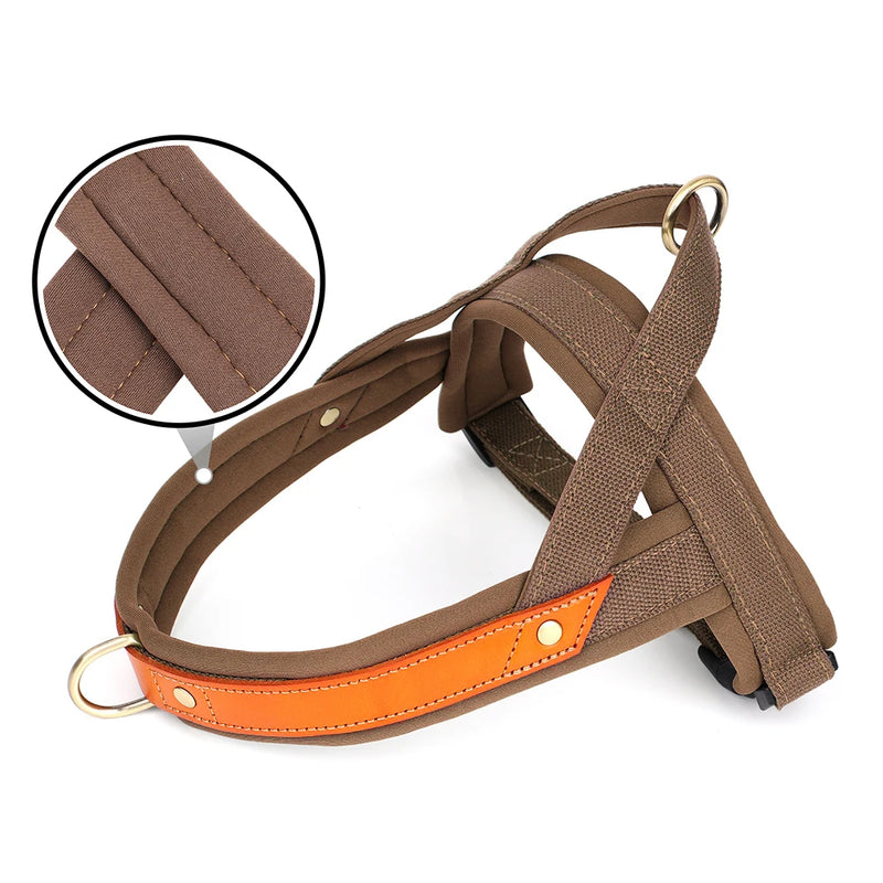 Dog Training Durable Harnesses Vest