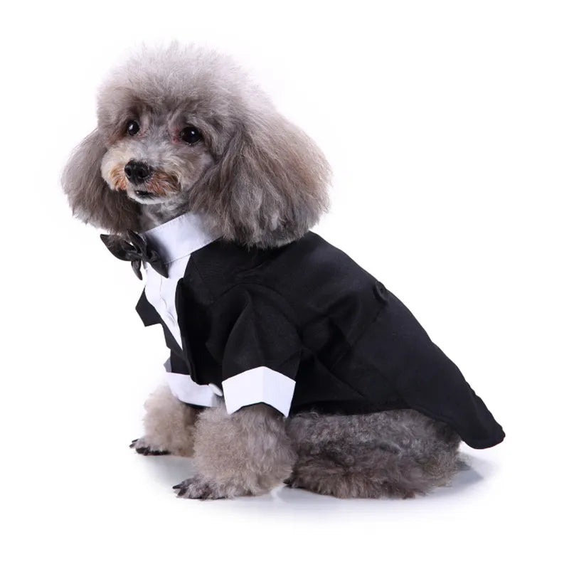 Cute Dog Tailcoat Suit