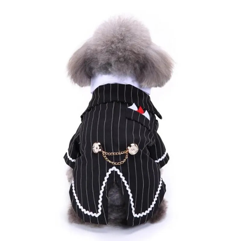 Cute Dog Tailcoat Suit