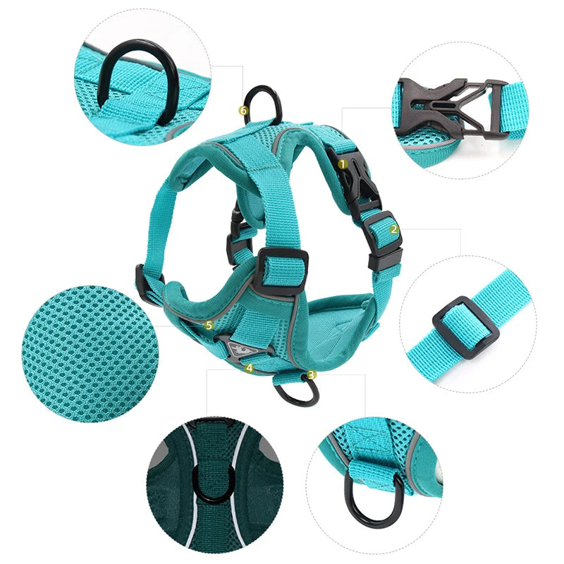 Dog Adjustable Harness Leash Set