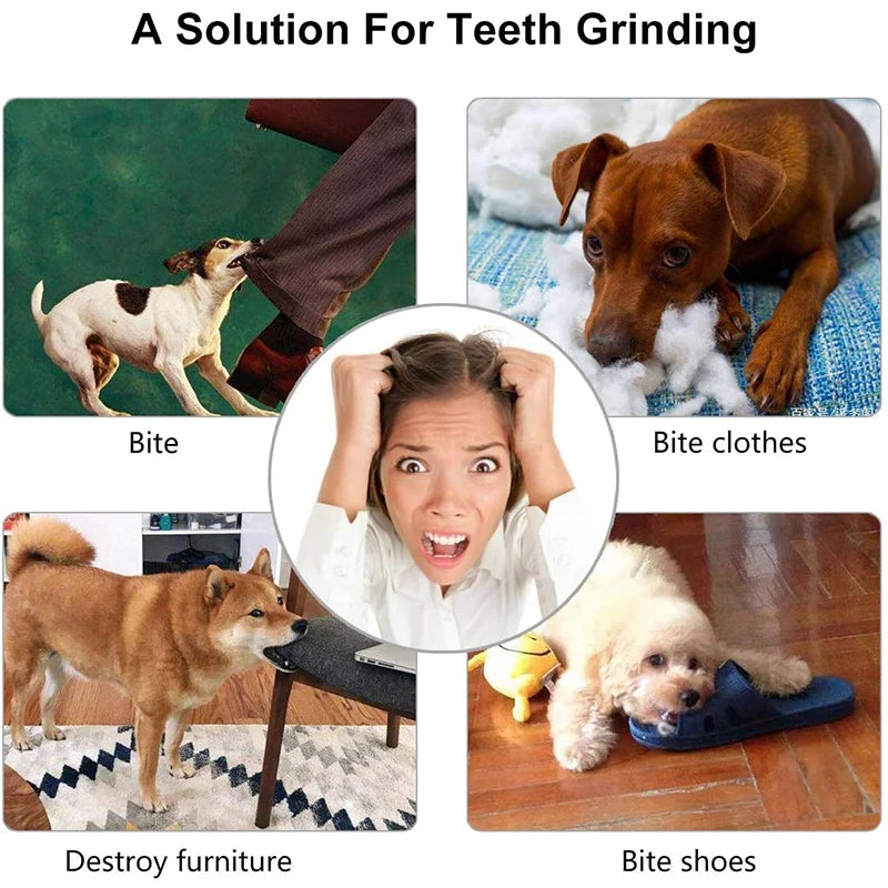 Dog Tooth Cleaning Food Ball Toy